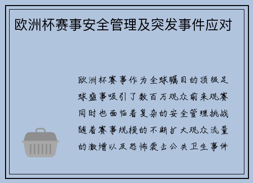 欧洲杯赛事安全管理及突发事件应对