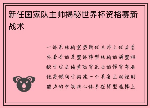 新任国家队主帅揭秘世界杯资格赛新战术