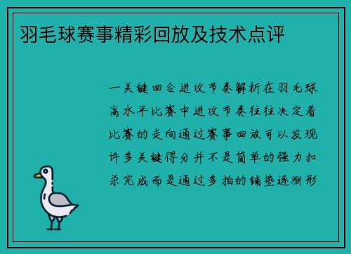 羽毛球赛事精彩回放及技术点评